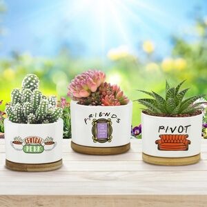 Friends TV Show Themed Ceramic Planter Set - White with Bamboo Base